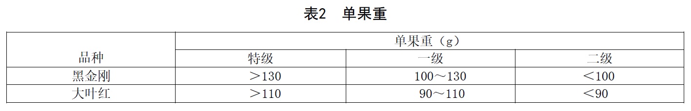 表2.jpg